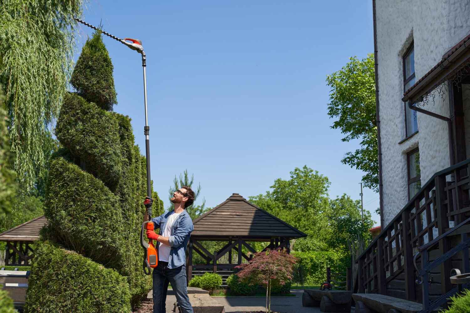 Best Commercial Tree Services  in Wells Branch, TX